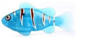 robo fish