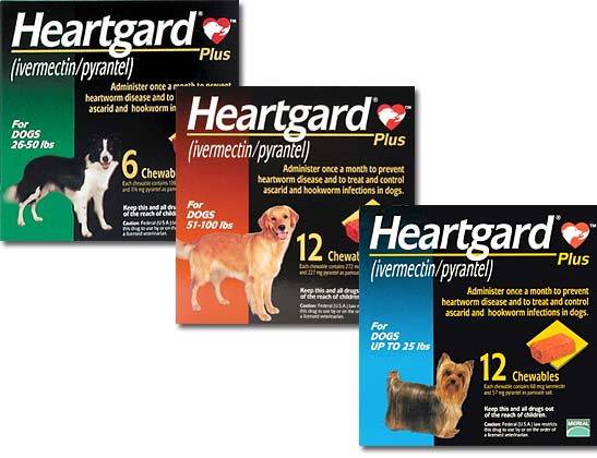 heartgard-plus-rebate-12-back-wyb-12-doses-shesaved