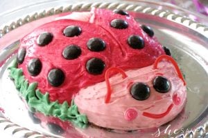 Birthday Party Adventures: Ladybug Cake