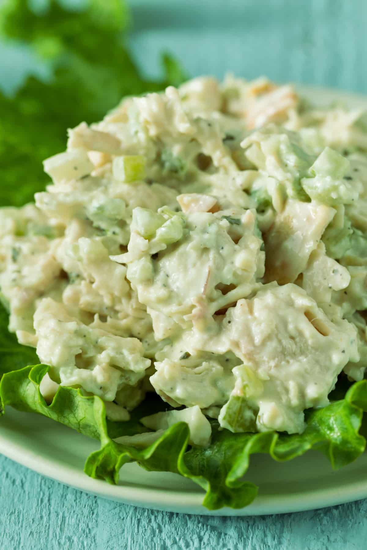 close up of avocado chicken salad 