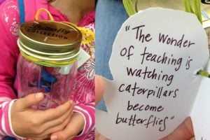 Teacher Gift Idea Butterfly in a Jar