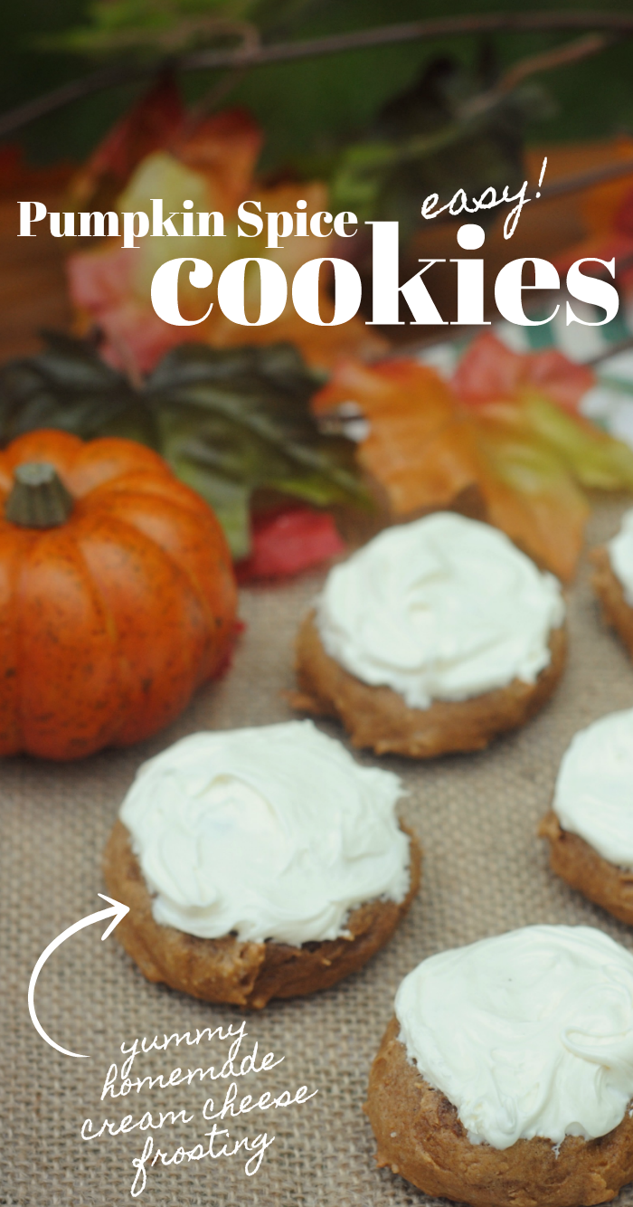 Easy Pumpkin Spice Cookies Recipe