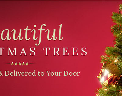Five Star Christmas Trees Review: Fresh Christmas Trees & Wreaths Delivered Right to Your Door + Enter to Win! ($200 Value!)