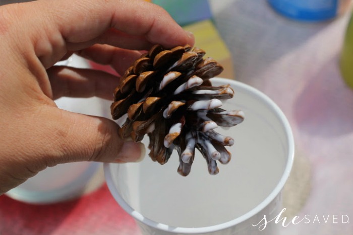 dipping frosted pine cone in glue