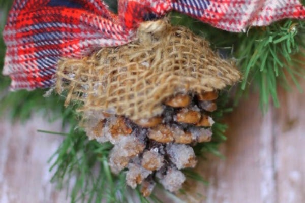 Frosted Pinecone Ornament