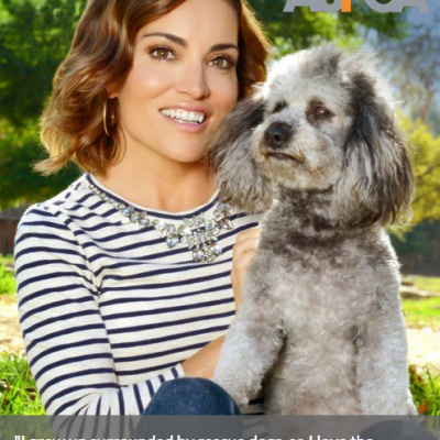 Kit Hoover Interview: Access Hollywood, Animal Rescue, We-Care.com + More!