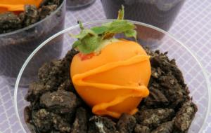 Carrots in Dirt Pudding Cups Recipe