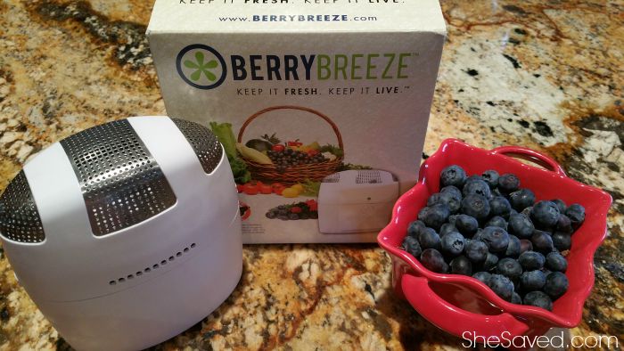 Berry Breeze Review