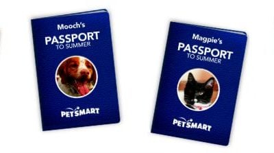 PetSmart Summer Fun and Safety Tips