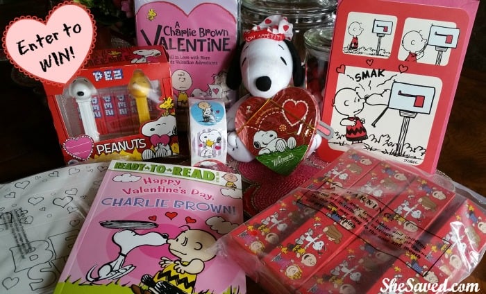 Snoopy Prize Package