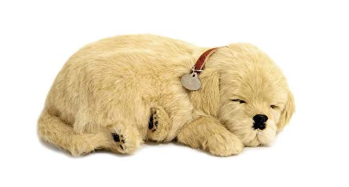 Perfect Petzzz Golden Retriever Puppy Plush Toy