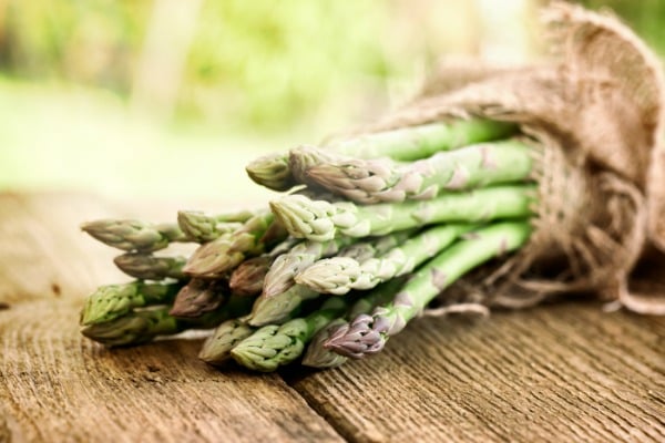Tips for Growing Asparagus
