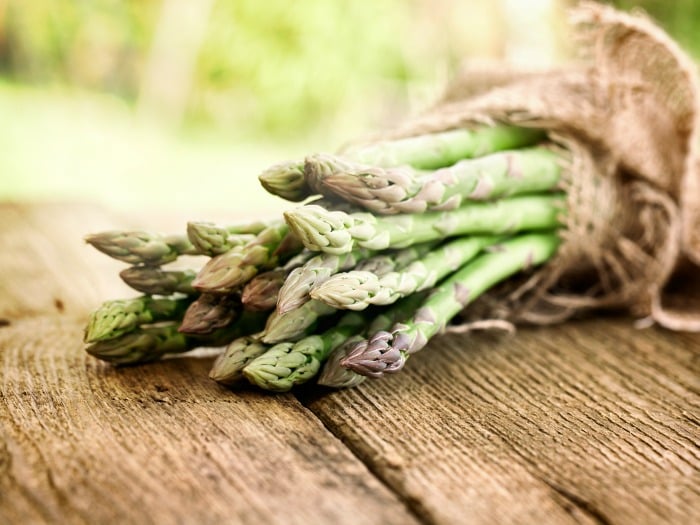 growing asparagus