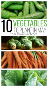 10 Vegetables to Plant in May