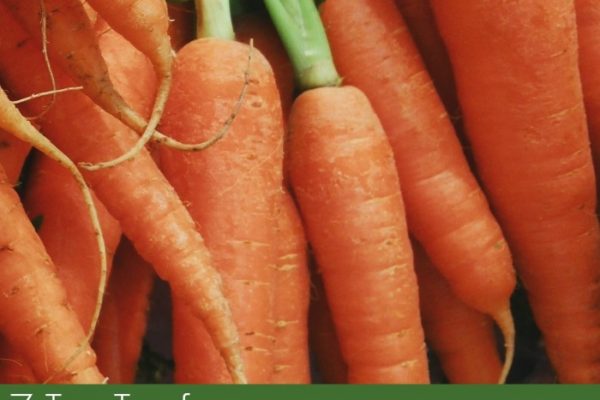 7 Tips for Growing Carrots