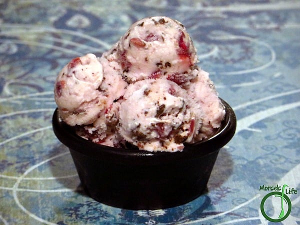Chocolate Pomegranate Ice Cream from Morsels of Life