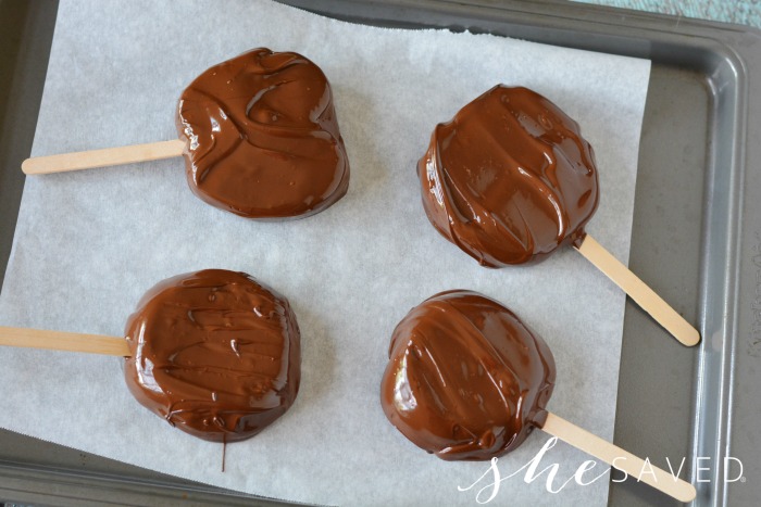 Chocolate Covered Apples