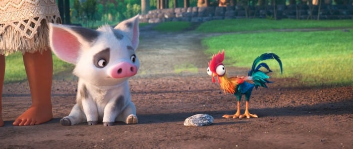 pig-and-rooster-moana