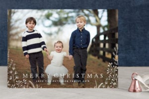Christmas Cards from Minted.com (and FREE Addressing Tool!) + Giveaway!!