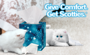 Scotties Facial Tissues Partner to Bring Permanent Housing to Those in Need