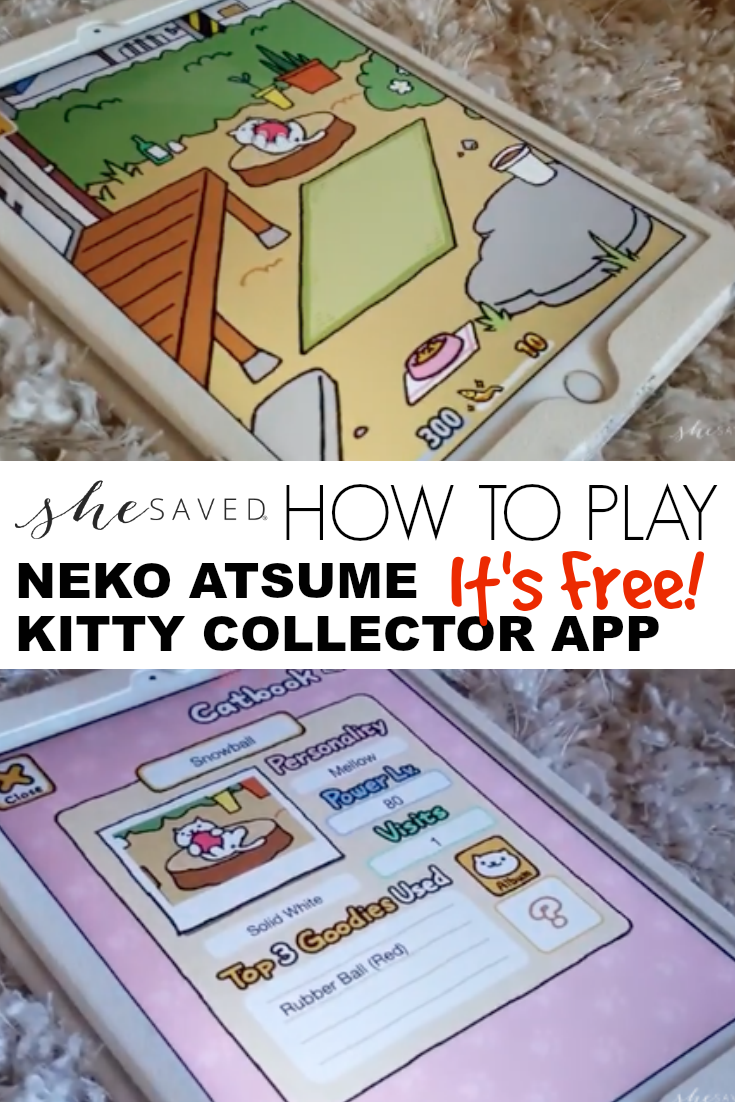 The Neko Atsume App is awesome for kids and cat lovers, plus it's FREE!