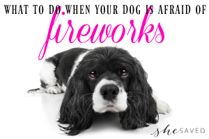 Helpful Tips for a Dog Afraid of Fireworks