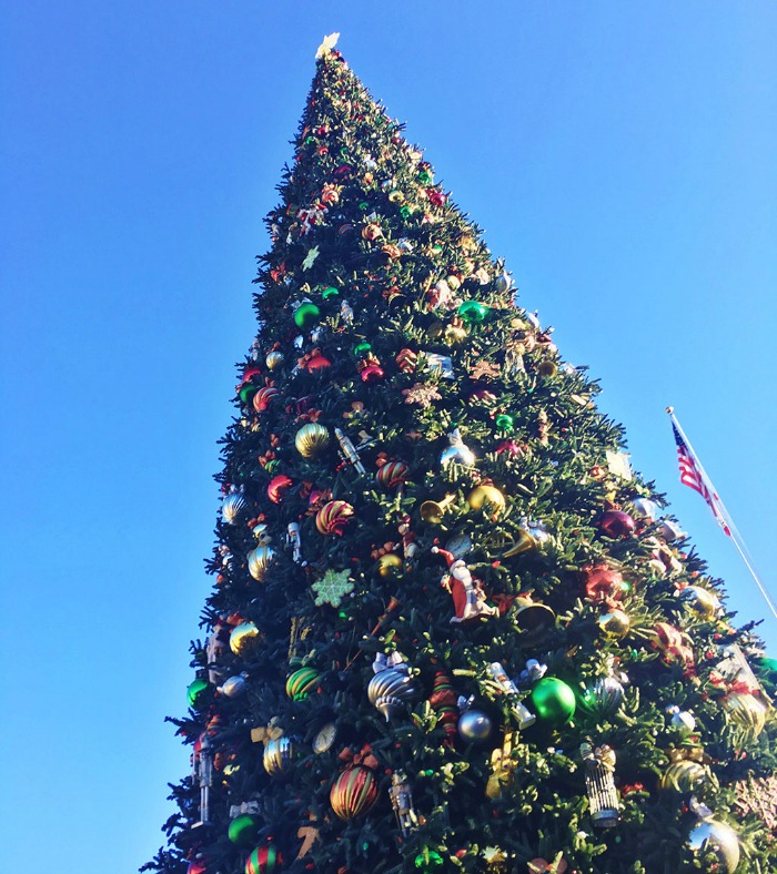 Disneyland Tree