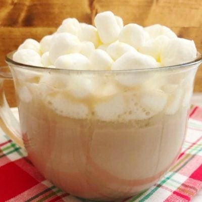 Easy Homemade Hot Chocolate Recipe {Slow Cooker or Stovetop!}