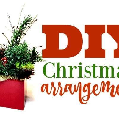DIY Simple Christmas Arrangement