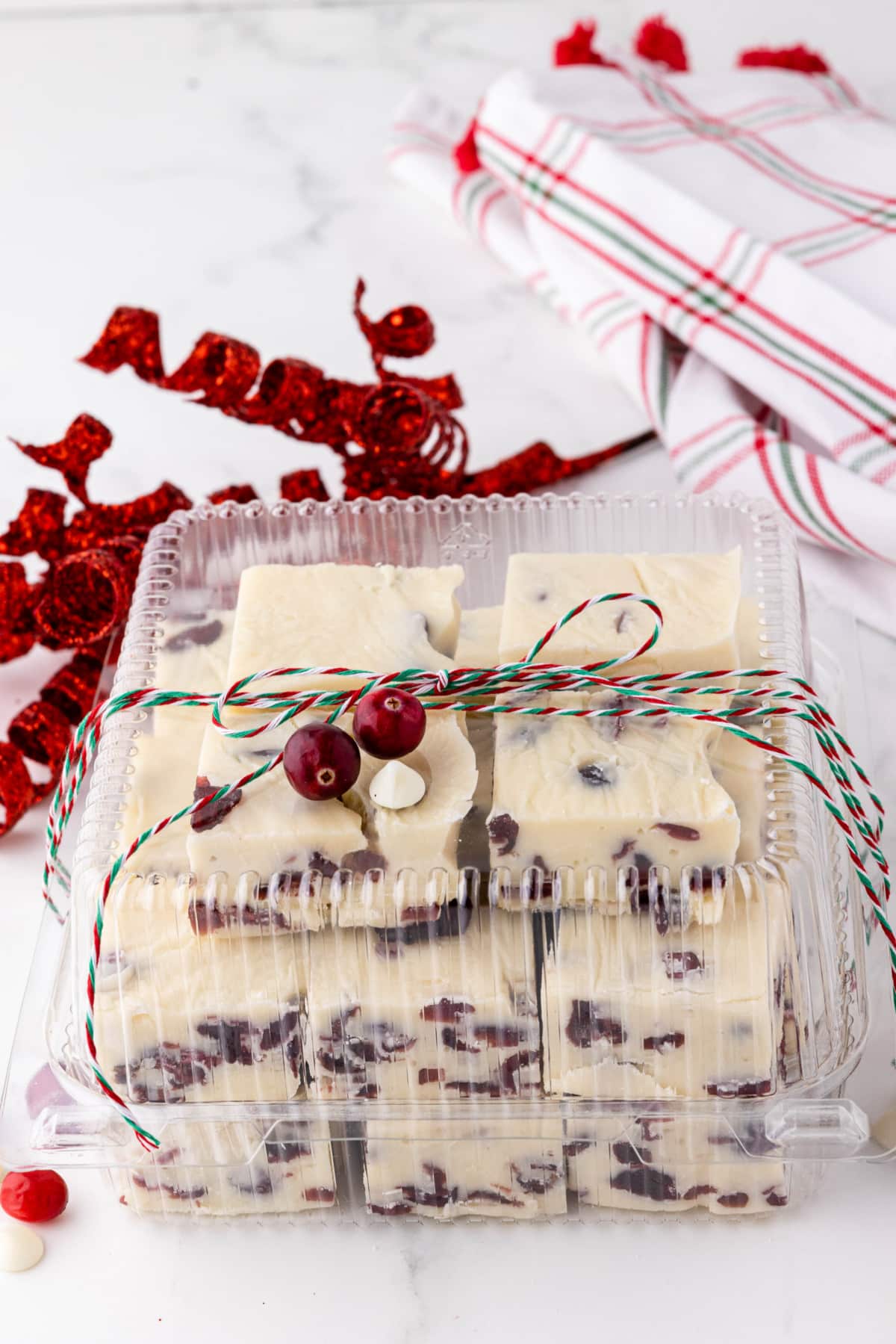 white fudge with cranberries in a plastic container decorated with holiday colors