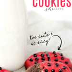 Ladybug Cookies Recipe