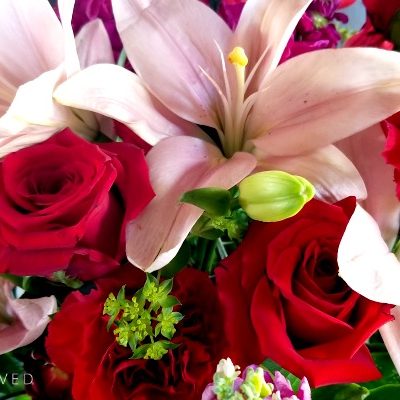 Send LOVE with Teleflora's Valentine’s Day Bouquets