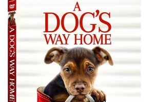A Dog’s Way Home Available TODAY on Digital Download + Giveaway