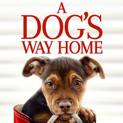 A Dog's Way Home Available TODAY on Digital Download + Giveaway