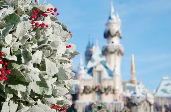 Disneyland during the Holidays
