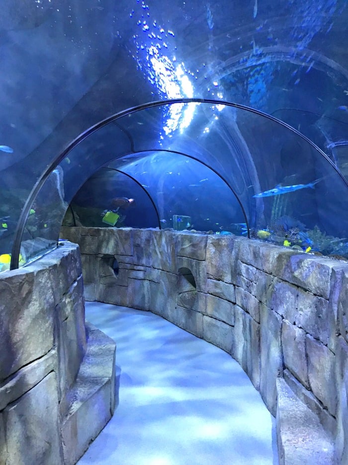 lego land aquarium