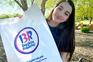 Baskin Robbins DIY Sundae Kits
