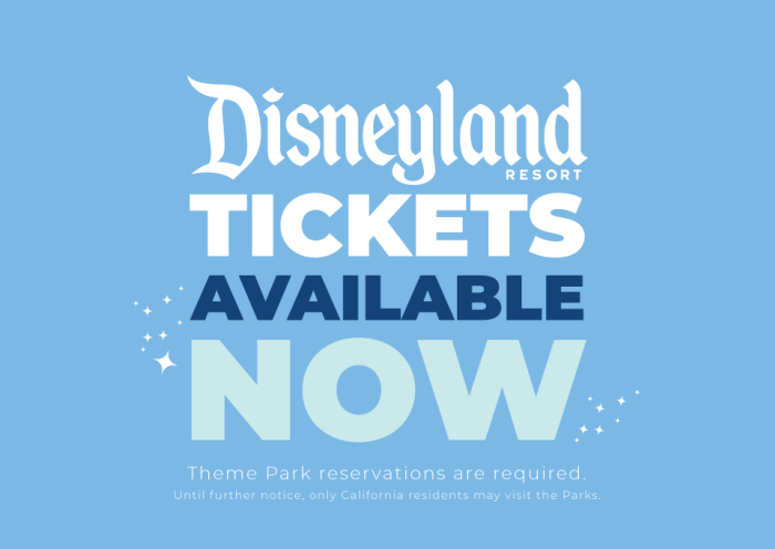 Buy Disneyland Tickets NOW