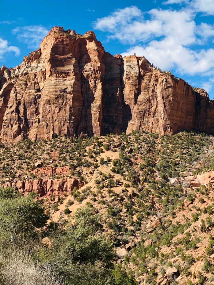 Zion Ponderosa Ranch sits on 4000 acres right next to Zion National Park and is the perfect family vacation destination!