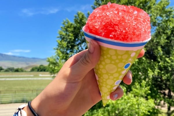 Hawaiian Shaved Ice Review: Summer Fun with the Party Package!