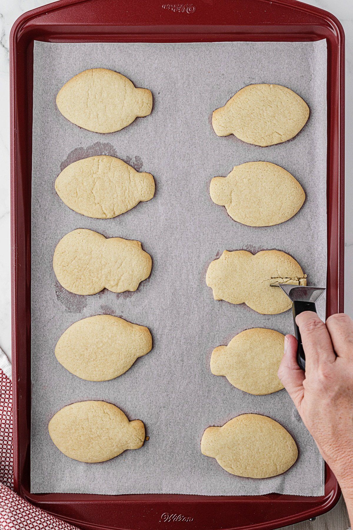 Sugar cookies on cookie sheet cooling