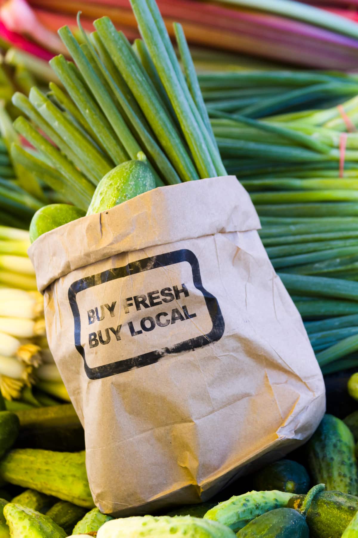 A brown paper bag featuring buy fresh buy local produce on sale at the local farmers market.