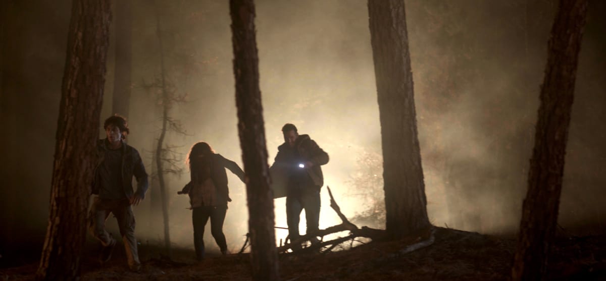 Silhouettes of people walking through a smokey forest among burnt trees and ash